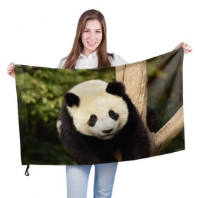 Флаг 3D с принтом Панда на дереве в Екатеринбурге, 100% полиэстер | плотность ткани — 95 г/м2, размер — 67 х 109 см. Принт наносится с одной стороны | животные | лес | медведь | медвежонок | панда | природа