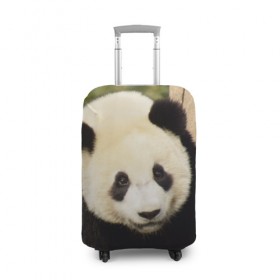 Чехол для чемодана 3D с принтом Панда на дереве в Екатеринбурге, 86% полиэфир, 14% спандекс | двустороннее нанесение принта, прорези для ручек и колес | животные | лес | медведь | медвежонок | панда | природа