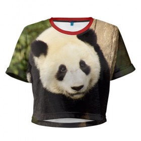 Женская футболка 3D укороченная с принтом Панда на дереве в Екатеринбурге, 100% полиэстер | круглая горловина, длина футболки до линии талии, рукава с отворотами | животные | лес | медведь | медвежонок | панда | природа