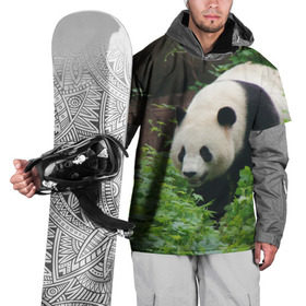 Накидка на куртку 3D с принтом Панда в лесу в Екатеринбурге, 100% полиэстер |  | Тематика изображения на принте: животные | лес | медведь | медвежонок | панда | природа
