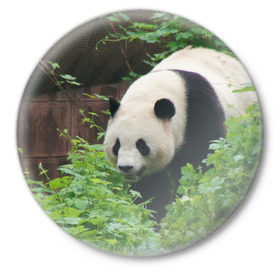 Значок с принтом Панда в лесу в Екатеринбурге,  металл | круглая форма, металлическая застежка в виде булавки | животные | лес | медведь | медвежонок | панда | природа