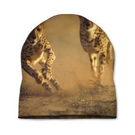 Шапка 3D с принтом Гепард в Екатеринбурге, 100% полиэстер | универсальный размер, печать по всей поверхности изделия | Тематика изображения на принте: амурский | гепард | животные | зверь | киса | кот | котенок | кошка | лев | леопард | пума | рысь | серый | тигр | тигренок | хищник