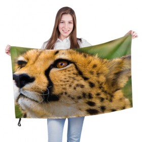 Флаг 3D с принтом Гепард в Екатеринбурге, 100% полиэстер | плотность ткани — 95 г/м2, размер — 67 х 109 см. Принт наносится с одной стороны | амурский | гепард | животные | зверь | киса | кот | котенок | кошка | лев | леопард | пума | рысь | серый | тигр | тигренок | хищник