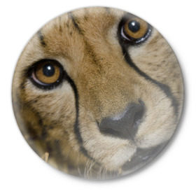 Значок с принтом Гепард в Екатеринбурге,  металл | круглая форма, металлическая застежка в виде булавки | амурский | гепард | животные | зверь | киса | кот | котенок | кошка | лев | леопард | пума | рысь | серый | тигр | тигренок | хищник