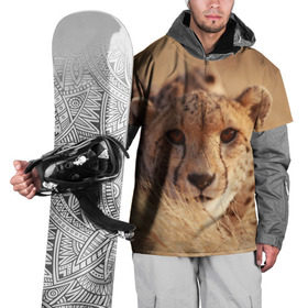 Накидка на куртку 3D с принтом Гепард в Екатеринбурге, 100% полиэстер |  | амурский | гепард | животные | зверь | киса | кот | котенок | кошка | лев | леопард | пума | рысь | серый | тигр | тигренок | хищник