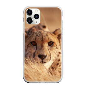 Чехол для iPhone 11 Pro матовый с принтом Гепард в Екатеринбурге, Силикон |  | Тематика изображения на принте: амурский | гепард | животные | зверь | киса | кот | котенок | кошка | лев | леопард | пума | рысь | серый | тигр | тигренок | хищник