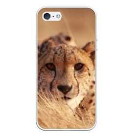 Чехол для iPhone 5/5S матовый с принтом Гепард в Екатеринбурге, Силикон | Область печати: задняя сторона чехла, без боковых панелей | амурский | гепард | животные | зверь | киса | кот | котенок | кошка | лев | леопард | пума | рысь | серый | тигр | тигренок | хищник