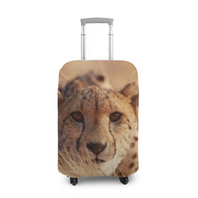 Чехол для чемодана 3D с принтом Гепард в Екатеринбурге, 86% полиэфир, 14% спандекс | двустороннее нанесение принта, прорези для ручек и колес | амурский | гепард | животные | зверь | киса | кот | котенок | кошка | лев | леопард | пума | рысь | серый | тигр | тигренок | хищник