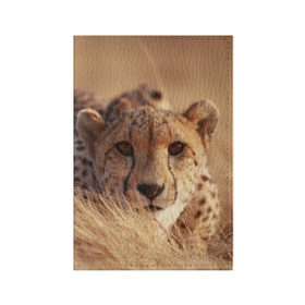 Обложка для паспорта матовая кожа с принтом Гепард в Екатеринбурге, натуральная матовая кожа | размер 19,3 х 13,7 см; прозрачные пластиковые крепления | Тематика изображения на принте: амурский | гепард | животные | зверь | киса | кот | котенок | кошка | лев | леопард | пума | рысь | серый | тигр | тигренок | хищник