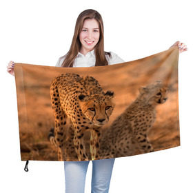Флаг 3D с принтом Гепард в Екатеринбурге, 100% полиэстер | плотность ткани — 95 г/м2, размер — 67 х 109 см. Принт наносится с одной стороны | амурский | гепард | животные | зверь | киса | кот | котенок | кошка | лев | леопард | пума | рысь | серый | тигр | тигренок | хищник