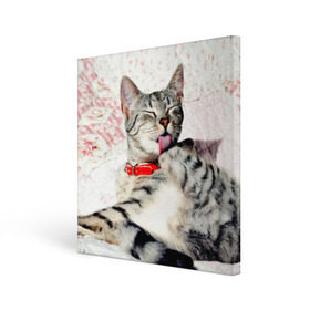 Холст квадратный с принтом Кошка в Екатеринбурге, 100% ПВХ |  | cat | collar | heel | licking | lying | red | striped | кошка | красный | лежит | лижет | ошейник | полосатая | пятка