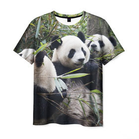 Мужская футболка 3D с принтом Семейка панд в Екатеринбурге, 100% полиэфир | прямой крой, круглый вырез горловины, длина до линии бедер | бамбук | животное | зверь | косолапый | лес | медведи | медведь | миша | мишка | мишутка | млекопитающее | панда | природа | трое