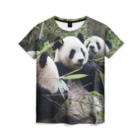 Женская футболка 3D с принтом Семейка панд в Екатеринбурге, 100% полиэфир ( синтетическое хлопкоподобное полотно) | прямой крой, круглый вырез горловины, длина до линии бедер | бамбук | животное | зверь | косолапый | лес | медведи | медведь | миша | мишка | мишутка | млекопитающее | панда | природа | трое