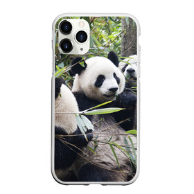 Чехол для iPhone 11 Pro матовый с принтом Семейка панд в Екатеринбурге, Силикон |  | Тематика изображения на принте: бамбук | животное | зверь | косолапый | лес | медведи | медведь | миша | мишка | мишутка | млекопитающее | панда | природа | трое