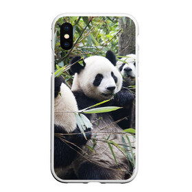 Чехол для iPhone XS Max матовый с принтом Семейка панд в Екатеринбурге, Силикон | Область печати: задняя сторона чехла, без боковых панелей | Тематика изображения на принте: бамбук | животное | зверь | косолапый | лес | медведи | медведь | миша | мишка | мишутка | млекопитающее | панда | природа | трое