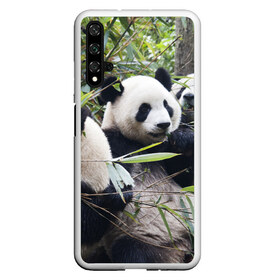 Чехол для Honor 20 с принтом Семейка панд в Екатеринбурге, Силикон | Область печати: задняя сторона чехла, без боковых панелей | Тематика изображения на принте: бамбук | животное | зверь | косолапый | лес | медведи | медведь | миша | мишка | мишутка | млекопитающее | панда | природа | трое