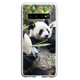 Чехол для Samsung Galaxy S10 с принтом Семейка панд в Екатеринбурге, Силикон | Область печати: задняя сторона чехла, без боковых панелей | бамбук | животное | зверь | косолапый | лес | медведи | медведь | миша | мишка | мишутка | млекопитающее | панда | природа | трое