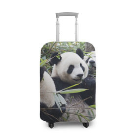 Чехол для чемодана 3D с принтом Семейка панд в Екатеринбурге, 86% полиэфир, 14% спандекс | двустороннее нанесение принта, прорези для ручек и колес | бамбук | животное | зверь | косолапый | лес | медведи | медведь | миша | мишка | мишутка | млекопитающее | панда | природа | трое