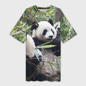 Платье-футболка 3D с принтом Семейка панд в Екатеринбурге,  |  | бамбук | животное | зверь | косолапый | лес | медведи | медведь | миша | мишка | мишутка | млекопитающее | панда | природа | трое