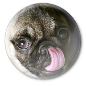 Значок с принтом Мопс в Екатеринбурге,  металл | круглая форма, металлическая застежка в виде булавки | бульдог | мопс | мопсик | мопсы | пес | песик | песики | собака | собаки | собачка