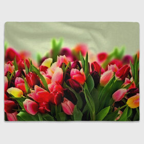 Плед 3D с принтом Букет тюльпанов в Екатеринбурге, 100% полиэстер | закругленные углы, все края обработаны. Ткань не мнется и не растягивается | Тематика изображения на принте: flower | весна | цветочки | цветы