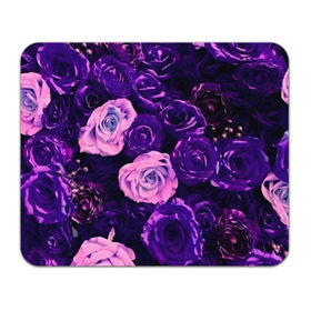 Коврик прямоугольный с принтом Фиолетовые розы в Екатеринбурге, натуральный каучук | размер 230 х 185 мм; запечатка лицевой стороны | flower | прикцветочки | розы | цветы