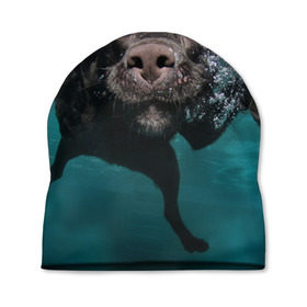 Шапка 3D с принтом Пес дайвер в Екатеринбурге, 100% полиэстер | универсальный размер, печать по всей поверхности изделия | вода | гребет | дайвер | животное | купается | лапы | нос | пес | плавец | плывет | под водой | прикольный | пузыри | смешной | собака | щенок