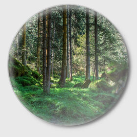 Значок с принтом Темный лес в Екатеринбурге,  металл | круглая форма, металлическая застежка в виде булавки | бор | деревья | ель | ельник | заповедник | камни | красивый | лес | лето | мох | мрачный | прекрасный | природа | флора | чудесный