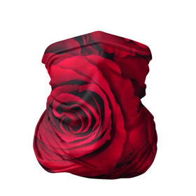 Бандана-труба 3D с принтом Красные розы в Екатеринбурге, 100% полиэстер, ткань с особыми свойствами — Activecool | плотность 150‒180 г/м2; хорошо тянется, но сохраняет форму | Тематика изображения на принте: 8 марта | букет | весна | дары флоры | женщине | красные | лепестки | лето | любовь | отношения | подарок | розы | романтика | флора | цветок | цветы