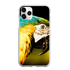 Чехол для iPhone 11 Pro матовый с принтом Попугай в Екатеринбурге, Силикон |  | двое | классный | клюв | красивый | крылья | попугай | попугайчик | птица | птичка | радужный