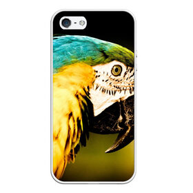 Чехол для iPhone 5/5S матовый с принтом Попугай в Екатеринбурге, Силикон | Область печати: задняя сторона чехла, без боковых панелей | двое | классный | клюв | красивый | крылья | попугай | попугайчик | птица | птичка | радужный