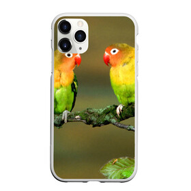 Чехол для iPhone 11 Pro матовый с принтом Попугаи в Екатеринбурге, Силикон |  | Тематика изображения на принте: двое | классный | клюв | красивый | крылья | попугай | попугайчик | птица | птичка | радужный