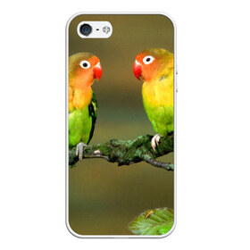Чехол для iPhone 5/5S матовый с принтом Попугаи в Екатеринбурге, Силикон | Область печати: задняя сторона чехла, без боковых панелей | двое | классный | клюв | красивый | крылья | попугай | попугайчик | птица | птичка | радужный