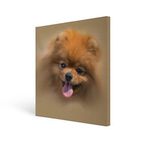 Холст квадратный с принтом Шпиц в Екатеринбурге, 100% ПВХ |  | Тематика изображения на принте: shpic | животные | мордочка | пёс | рыжий | собака | собачка | язык