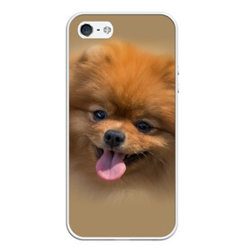 Чехол для iPhone 5/5S матовый с принтом Шпиц в Екатеринбурге, Силикон | Область печати: задняя сторона чехла, без боковых панелей | shpic | животные | мордочка | пёс | рыжий | собака | собачка | язык