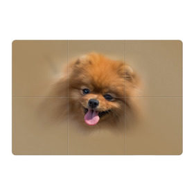 Магнитный плакат 3Х2 с принтом Шпиц в Екатеринбурге, Полимерный материал с магнитным слоем | 6 деталей размером 9*9 см | shpic | животные | мордочка | пёс | рыжий | собака | собачка | язык
