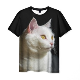 Мужская футболка 3D с принтом Белая и пушистая в Екатеринбурге, 100% полиэфир | прямой крой, круглый вырез горловины, длина до линии бедер | Тематика изображения на принте: белый | взгляд | глаза | киска | кот | котёнок | кошка | пушистый