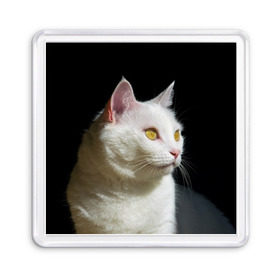 Магнит 55*55 с принтом Белая и пушистая в Екатеринбурге, Пластик | Размер: 65*65 мм; Размер печати: 55*55 мм | Тематика изображения на принте: белый | взгляд | глаза | киска | кот | котёнок | кошка | пушистый