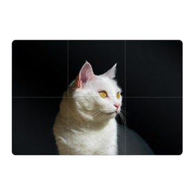 Магнитный плакат 3Х2 с принтом Белая и пушистая в Екатеринбурге, Полимерный материал с магнитным слоем | 6 деталей размером 9*9 см | Тематика изображения на принте: белый | взгляд | глаза | киска | кот | котёнок | кошка | пушистый