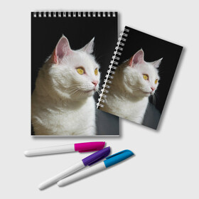 Блокнот с принтом Белая и пушистая в Екатеринбурге, 100% бумага | 48 листов, плотность листов — 60 г/м2, плотность картонной обложки — 250 г/м2. Листы скреплены удобной пружинной спиралью. Цвет линий — светло-серый
 | Тематика изображения на принте: белый | взгляд | глаза | киска | кот | котёнок | кошка | пушистый