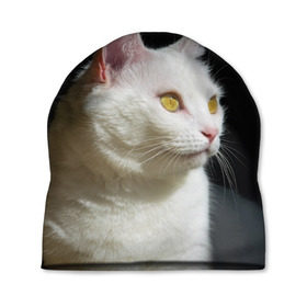 Шапка 3D с принтом Белая и пушистая в Екатеринбурге, 100% полиэстер | универсальный размер, печать по всей поверхности изделия | Тематика изображения на принте: белый | взгляд | глаза | киска | кот | котёнок | кошка | пушистый