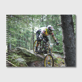 Альбом для рисования с принтом Велоспорт гонка в Екатеринбурге, 100% бумага
 | матовая бумага, плотность 200 мг. | велик | велосипед | гонка | горы | деревья | железный конь | колесо | лес | лисапед | природа | ровер | спорт | спортсмен | стальной конь | тандем | трицикл | шлем