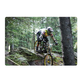 Магнитный плакат 3Х2 с принтом Велоспорт гонка в Екатеринбурге, Полимерный материал с магнитным слоем | 6 деталей размером 9*9 см | велик | велосипед | гонка | горы | деревья | железный конь | колесо | лес | лисапед | природа | ровер | спорт | спортсмен | стальной конь | тандем | трицикл | шлем