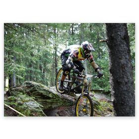 Поздравительная открытка с принтом Велоспорт гонка в Екатеринбурге, 100% бумага | плотность бумаги 280 г/м2, матовая, на обратной стороне линовка и место для марки
 | Тематика изображения на принте: велик | велосипед | гонка | горы | деревья | железный конь | колесо | лес | лисапед | природа | ровер | спорт | спортсмен | стальной конь | тандем | трицикл | шлем