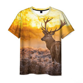 Мужская футболка 3D с принтом Олень в Екатеринбурге, 100% полиэфир | прямой крой, круглый вырез горловины, длина до линии бедер | бор | дубрава | ельник | животное | закат | косуля | лес | лось | млекопитающее | олень | природа | расвет | рогач | рока | тайга | чащоба