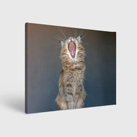 Холст прямоугольный с принтом Мартовский кот в Екатеринбурге, 100% ПВХ |  | кот | кошка | март | пасть | усы