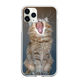 Чехол для iPhone 11 Pro Max матовый с принтом Мартовский кот в Екатеринбурге, Силикон |  | кот | кошка | март | пасть | усы