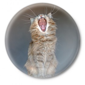 Значок с принтом Мартовский кот в Екатеринбурге,  металл | круглая форма, металлическая застежка в виде булавки | Тематика изображения на принте: кот | кошка | март | пасть | усы
