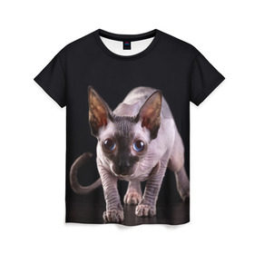 Женская футболка 3D с принтом сфинкс в Екатеринбурге, 100% полиэфир ( синтетическое хлопкоподобное полотно) | прямой крой, круглый вырез горловины, длина до линии бедер | cat | голубые глаза | кот | котик | котэ | кошка | сфинкс | черный