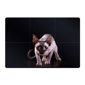 Магнитный плакат 3Х2 с принтом сфинкс в Екатеринбурге, Полимерный материал с магнитным слоем | 6 деталей размером 9*9 см | Тематика изображения на принте: cat | голубые глаза | кот | котик | котэ | кошка | сфинкс | черный